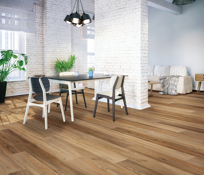 VV457_02904 - Virtue Oak-
