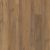 VV457_02904 - Virtue Oak