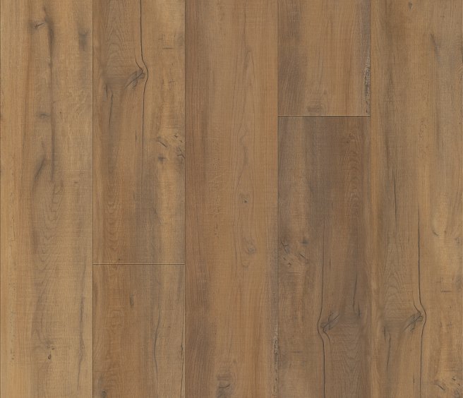 VV457_02904 - Virtue Oak