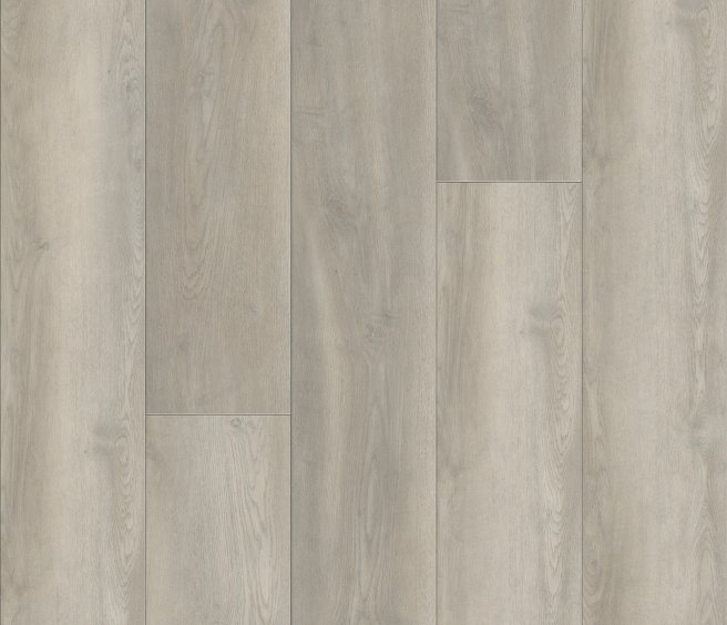 VV457_02905 - Opulence Oak