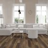 VV457_02907 - Pride Oak-