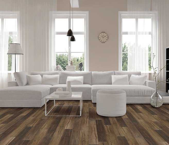 VV457_02907 - Pride Oak-