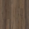 VV457_02907 - Pride Oak