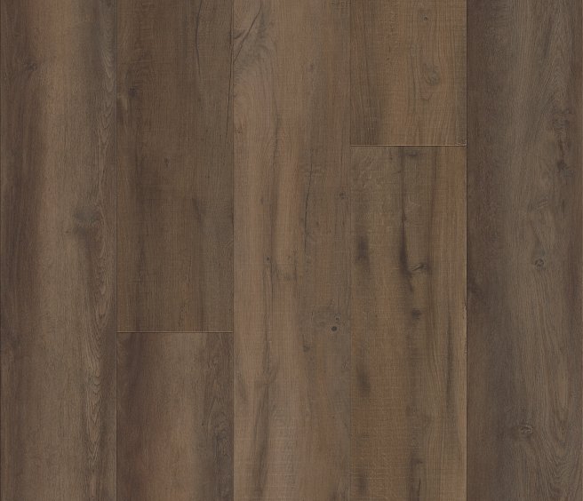 VV457_02907 - Pride Oak