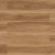 MCGL-8802-Moneo