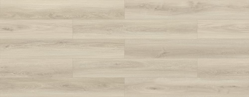 MCDN-8703-Oyster-