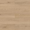 MCDN-8707-Palmier-
