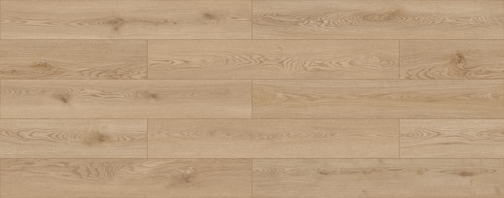 MCDN-8707-Palmier-