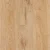 Regatta_303 Spiced Oak