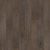 Anchor Oak