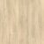 Golden Sand Oak