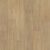 Stallion Hickory