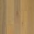 Tamarind Oak