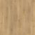 Tulip Shell Oak